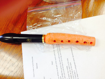 Recorder Carrot - Griffin B.
