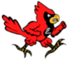Cardinal image